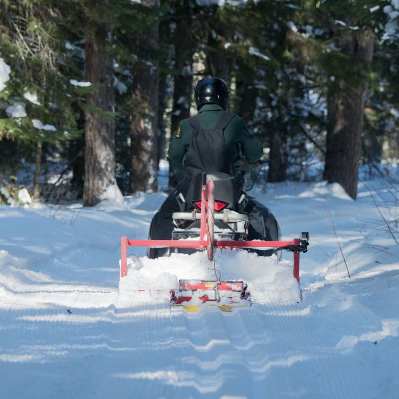 A snowmobile heading away down a freshly groomed trail through deep snow and tall pines.